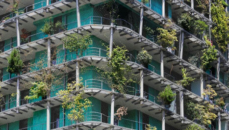 La végétalisation urbaine, faire respirer les villes ? | Veille territoriale AURH | Scoop.it