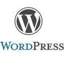 Google lance son Plugin officiel pour Wordpress - #Arobasenet | Going social | Scoop.it