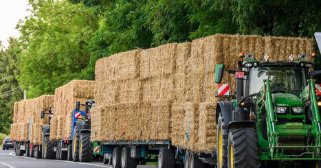 Canicule&nbsp;: le D&eacute;partement des Landes promet 550 000&euro; d'aides aux agriculteurs pour compenser les pertes de fourrage - ICI | Landes | Scoop.it