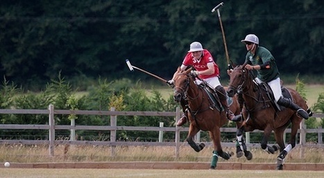 Un cheval cloné remporte pour la première fois une compétition ... - Slate.fr | Cheval et sport | Scoop.it