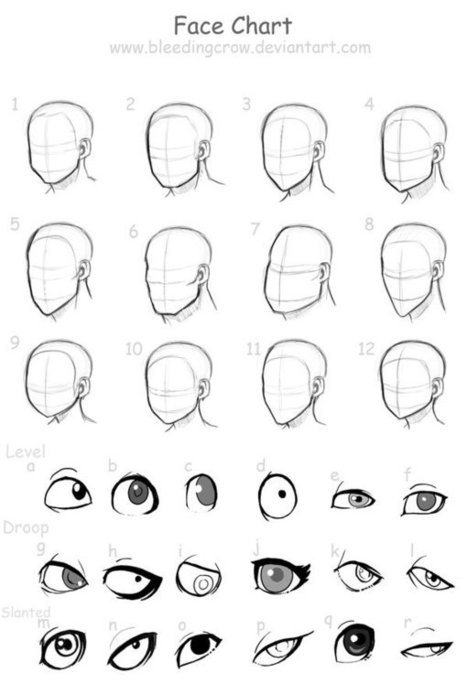 Face Chart | Drawing References and Resources | Scoop.it