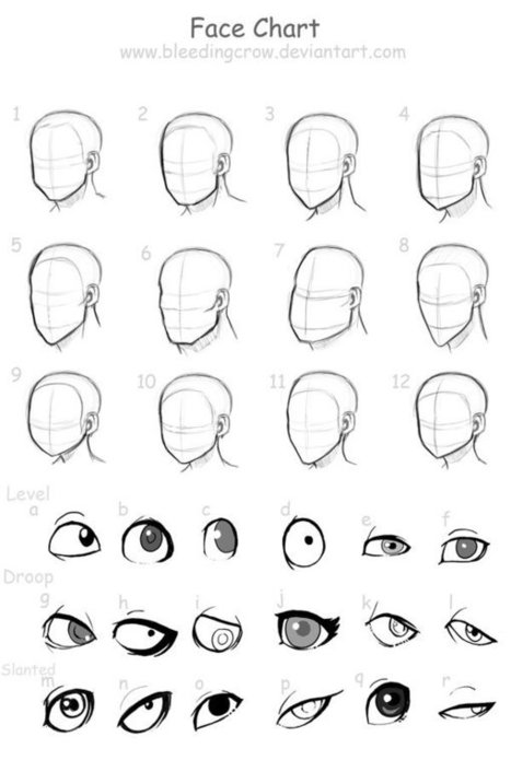 Face Chart Drawing Scoop It