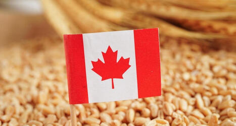 CANADA: Unveils first National Food Security Strategy with &pound;1.6bn investment | AM&Eacute;RIQUES | Scoop.it