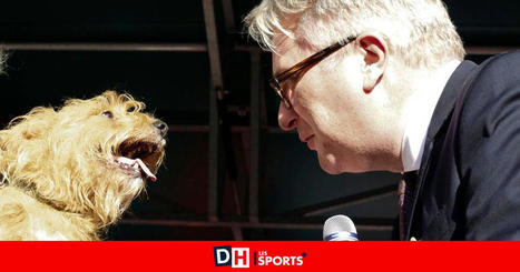 Charleroi : le dispensaire pour animaux de la Fondation du Prince Laurent souffle sa première bougie - La DH/Les Sports+ | Social | Scoop.it