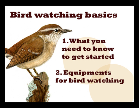 How to Make your Scientific Presentation Awesome and Memorable | Presenting 24 x 7 | Scoop.it