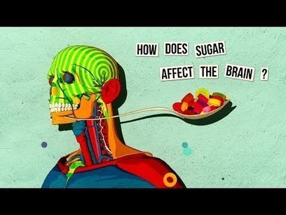 How sugar affects the brain - Nicole Avena | Eclectic Technology | Scoop.it