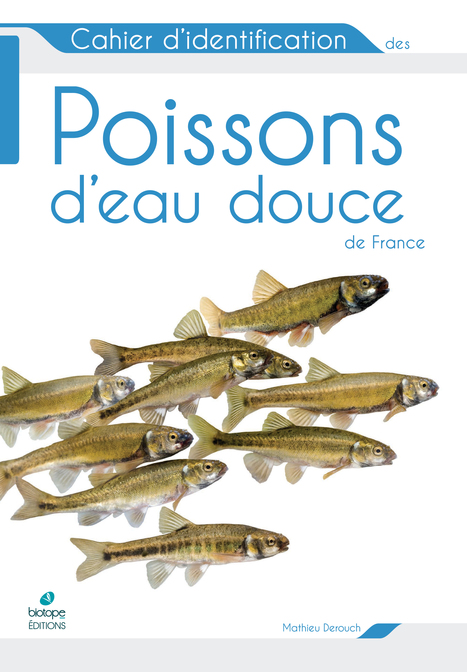 Un guide pour identifier les poissons d'eau douce | Biodiversité | Scoop.it