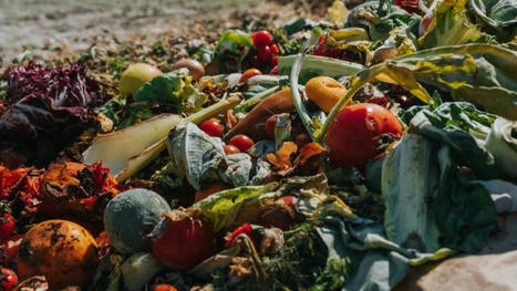 EUROPE : Directive sur les déchets : la France demande à la Commission de tenir compte des pertes agricoles | CIHEAM Press Review | Scoop.it