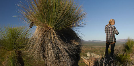 Do you know a Bunji from a Boorie? Meet our dictionary's new Indigenous words | Australian Indigenous Education | Scoop.it