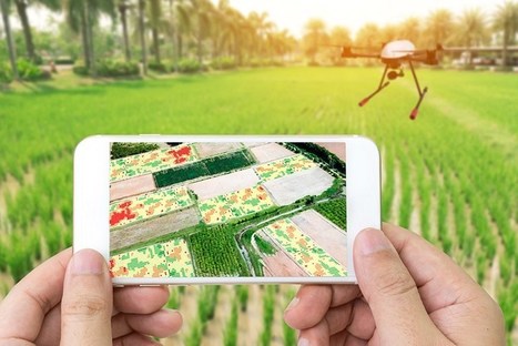 Agriculture numérique : de nouveaux outils pour la science à la ferme | Elevage et numérique | Scoop.it