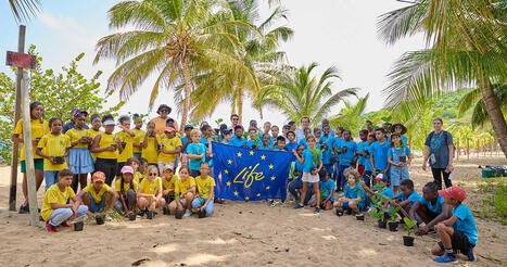 Les projets en faveur de la biodiversit&eacute; dans les r&eacute;gions ultrap&eacute;riph&eacute;riques et les PTOM de l'UE -&nbsp;BESTLIFE2030 | Biodiversit&eacute; | Scoop.it