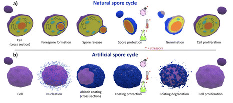 Emerging porous materials for cell encapsulation | rsc | RMH | Scoop.it