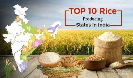 Explore the Rice Producing States in India in 2023 | Find the best farming tractor at the best price | Scoop.it