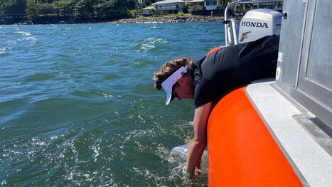 Pinpointing Sewage Seeps in Hawaii | Industry 411 - Waste Management | Scoop.it