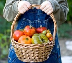 I 10 ortaggi più facili da coltivare sul proprio balcone | Orto, Giardino, Frutteto, Piante Innovative e Antiche Varietà | Scoop.it