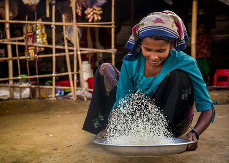 Freerice - Here's Why Sustainable Rice Cultivation Is Better For The Environment | SRI Global News ++ March - May 2025    System of Rice Intensification (SRI) | Scoop.it