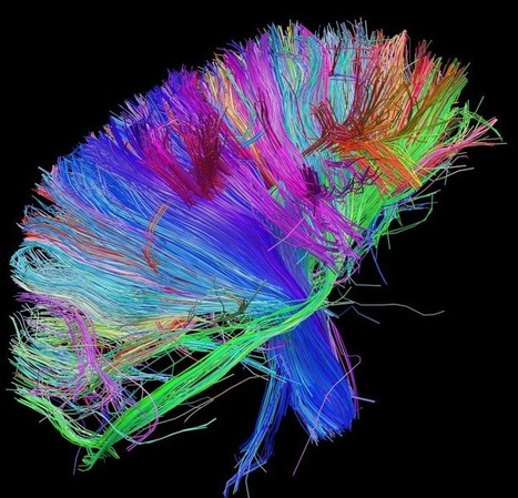 Rock et science | Pourquoi Comment Combien | Dr. Goulu | Scoop.it