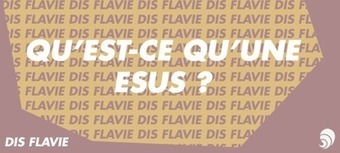 [DIS FLAVIE] C'est quoi une ESUS ? | Mécénat participatif, crowdfunding & intérêt général | Scoop.it