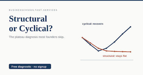 Structural or Cyclical: The Plateau Diagnosis Founders Skip | Chief Operating Officers | Tampa Florida Public Relations | Scoop.it