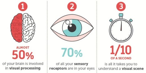 The Science Behind Why Our Brains Crave Infographics (In an Infographic) | World's Best Infographics | Scoop.it