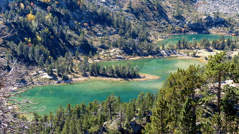 Contribuez à la connaissance et à la protection des lacs de montagne | Vallées d'Aure & Louron - Pyrénées | Scoop.it