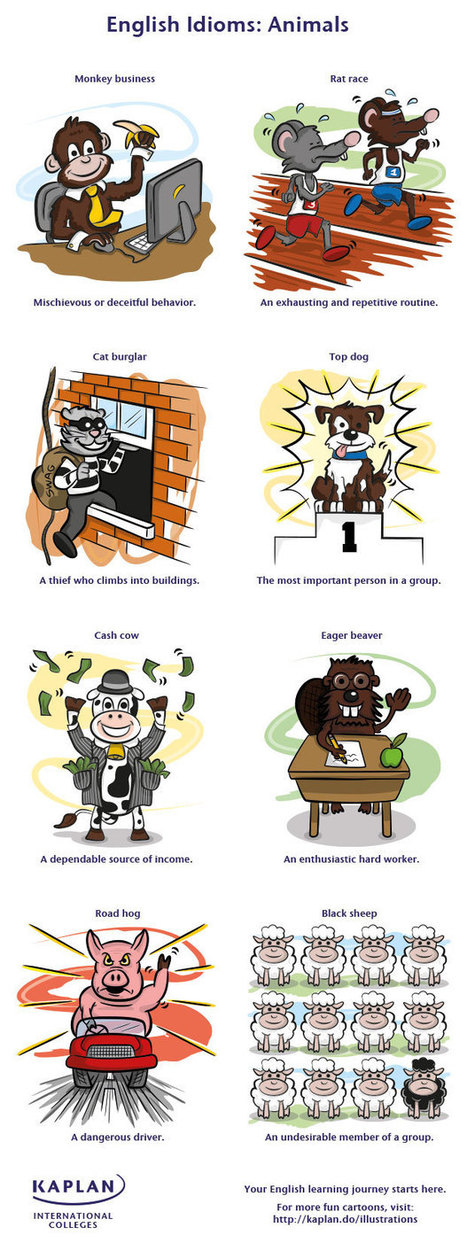 English Idioms : Animals  (infographic) | APOIO AO ESTUDO | Scoop.it