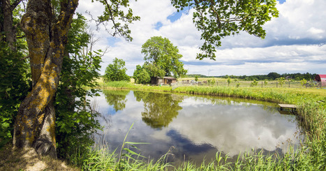 Paiement pour services environnementaux&nbsp;: trois projets retenus en Artois-Picardie | Actu environnement en HdF | Scoop.it