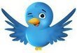 Manual básico en español para dar tus primeros pasos en Twitter. | TIC & Educación | Scoop.it