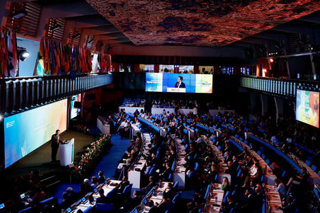 World Food Day 2026: Make innovation inclusive and impactful for resilient agrifood systems | Innovation Agro-activit&eacute;s et Bio-industries | Scoop.it