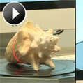 How MakerBot's 3D Scanner Works | Daily Magazine | Scoop.it