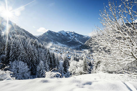 Les labels environnementaux fleurissent en montagne | Entreprises et territoires alpins : M&eacute;tamorphoses, innovations , entreprenariat | Scoop.it
