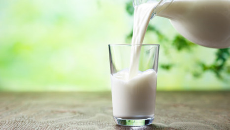 Gestion de l’offre : pourquoi le lait coûte-t-il plus cher au Québec? | Lait de Normandie... et d'ailleurs | Scoop.it