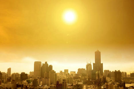 Quelles attentes pour la COP 27 ? | Tribunes | Scoop.it