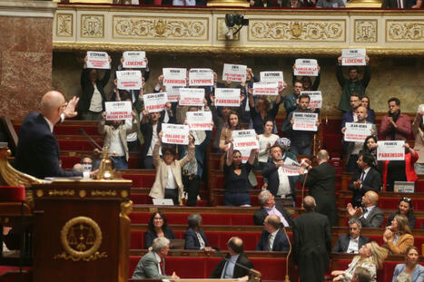Loi Duplomb sur l’agriculture : comment les partisans du texte ont réussi à court-circuiter les débats à l’Assemblée nationale | Revue de presse du Centre de doc | Scoop.it