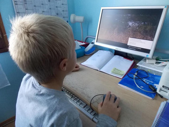 Saint-Vincent-de-Tyrosse&nbsp;: la surexposition des enfants aux &eacute;crans en d&eacute;bat au cin&eacute;ma jeudi 21 mai | Landes - Conseils municipaux & communautaires | Scoop.it