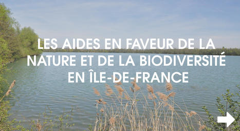 Dispositifs d'aides pour la biodiversité - ARB Ile de France | Biodiversité | Scoop.it