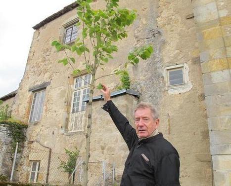 Jardin en mouvement : " Toujours la vie invente "  par Gilles Clément | Les Colocs du jardin | Scoop.it