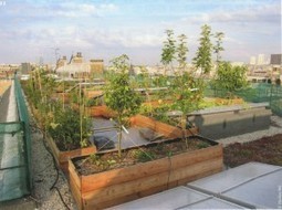 Habitat Coop&eacute;ratif et Ecologique en Autopromotion: Rencontre avec l&rsquo;OPHEC | Economie Responsable et Consommation Collaborative | Scoop.it