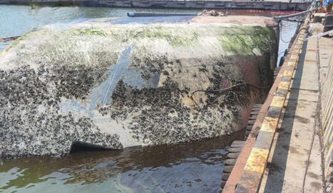 Oil spill in Mariupol port: Russian company is to blame | УНН / le 09.12.2025 | Pollution accidentelle des eaux (+ d&eacute;chets plastiques) | Scoop.it