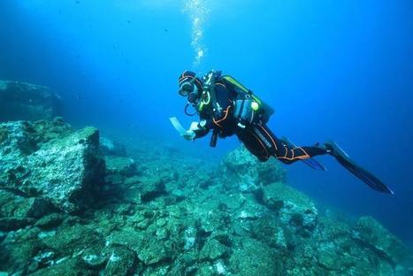 Bilan 2018 de l'opération de science participative "Des espèces qui comptent" - Parc national des Calanques | Biodiversité | Scoop.it