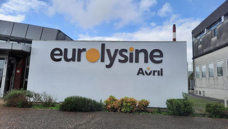 L'usine Eurolysine d'Amiens fait partie des sites aid&eacute;s sur 15 ans par des subventions publiques pour se d&eacute;carboner - ICI | ITERG - Veille sectorielle | Scoop.it