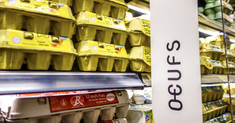 Œufs contaminés: des produits pouvant contenir du fipronil retirés des rayons de supermarchés français | Toxique, soyons vigilant ! | Scoop.it