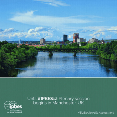 IPBES - #bizbiodiversity Report | Biodiversit&eacute; | Scoop.it