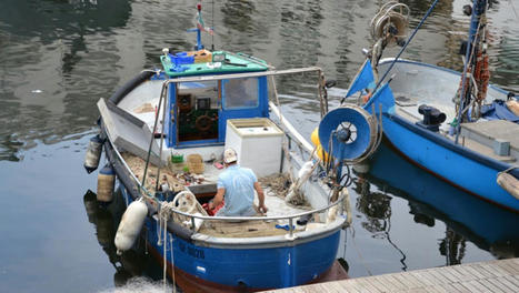 L'Italie va pouvoir soutenir à hauteur d'1,2 mrd€ les secteurs de l'agriculture et de la pêche - Econostrum | Espace Méditerranéen : géopolitique, coopération... | Scoop.it