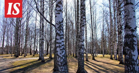 Kohta tulee k&auml;&auml;nne &ndash; t&auml;lt&auml; n&auml;ytt&auml;&auml; vapun s&auml;&auml; | 1Uutiset - Lukemisen t&auml;hden | Scoop.it