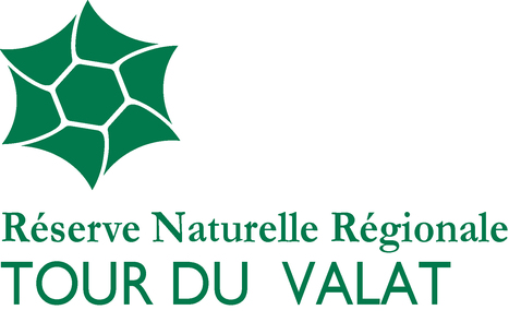 Emploi Biblioth&eacute;caire/Charg&eacute;.e de communication Environnement - CDI - Arles (13). | Presse Design et Emploi D&eacute;vt Durable | Scoop.it