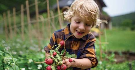Feeding Healthy Smiles - alive magazine | Industry 411 - Waste Management | Scoop.it