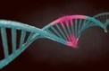 Merck obtient un brevet pour la technologie CRISPR en Chine | ASIES | Scoop.it