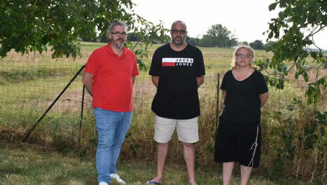 « Nous ne pouvons plus profiter de la terrasse ou de la piscine, ni manger dehors », près de Toulouse, tout un quartier infesté de nuisibles | Les Colocs du jardin | Scoop.it