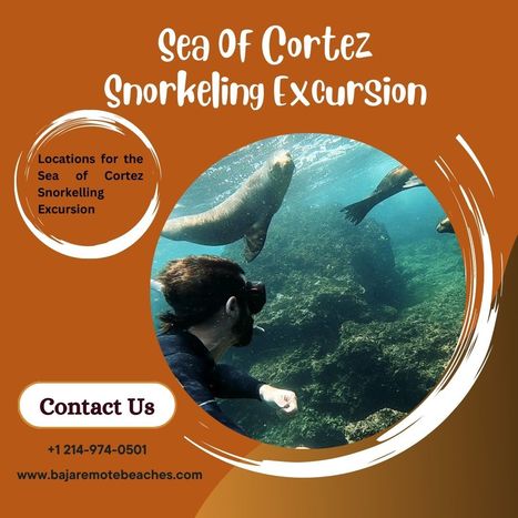 Locations for the Sea of Cortez Snorkelling Excursion | sailing catamaran charter | Scoop.it